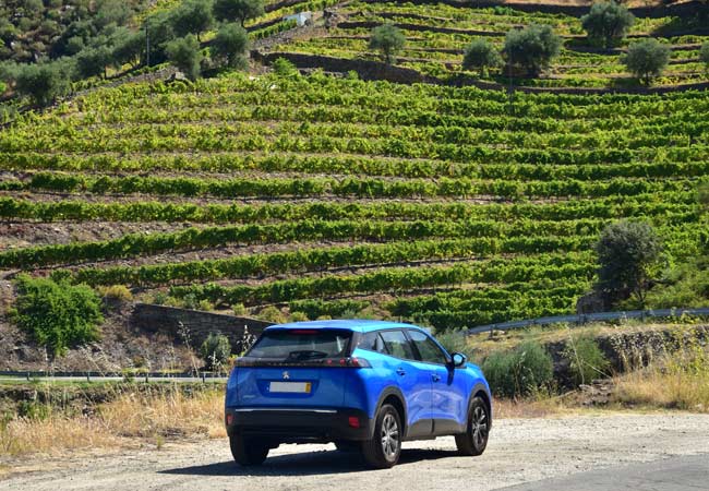 Andar de carro no Douro