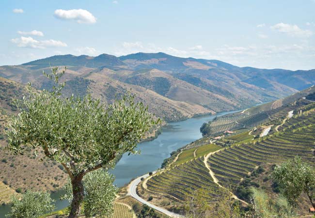 Valle del Douro Superiore