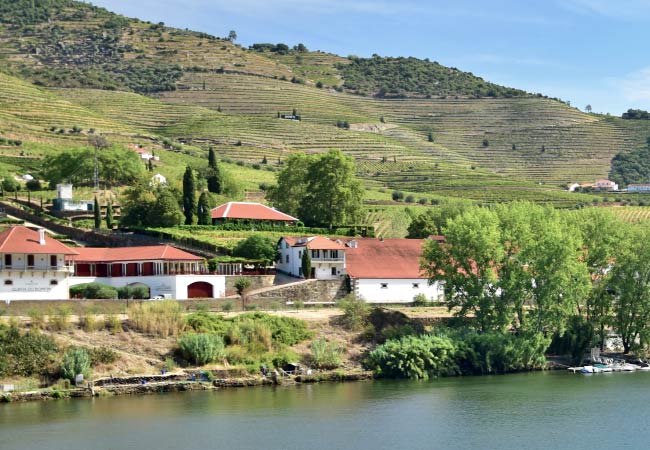 Quinta do Bomfim Douro valley