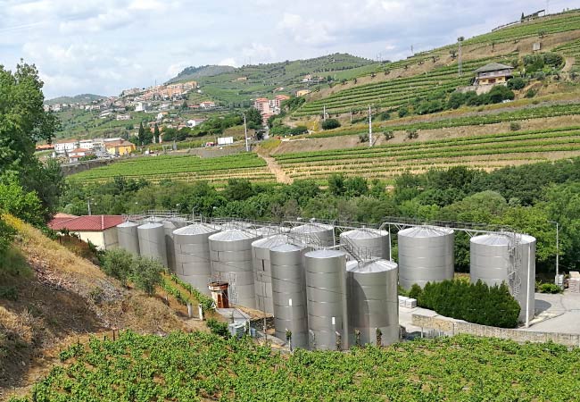 Wine production douro