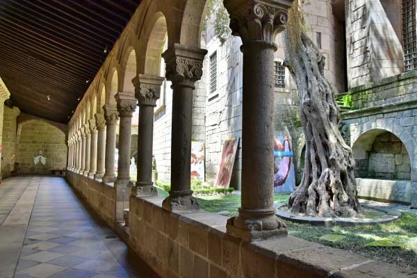 Museu de Alberto Sampaio Guimarães