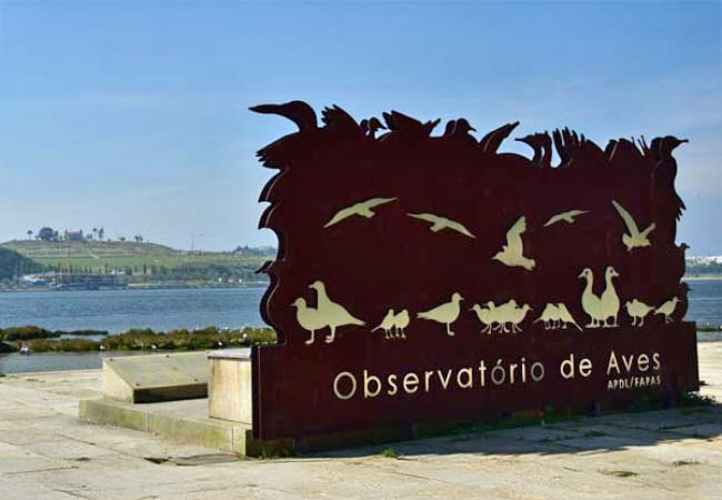 Observatório das Aves