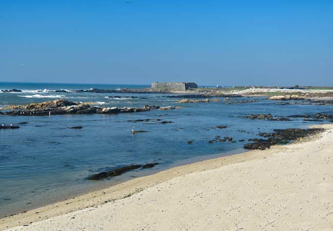 Praia Norte beach Viana do Castelo