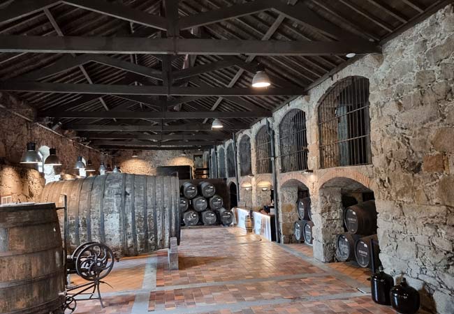 port cellar tours in porto