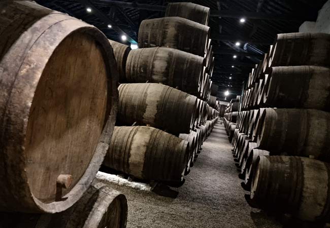 Cantine di vino di Porto in inverno