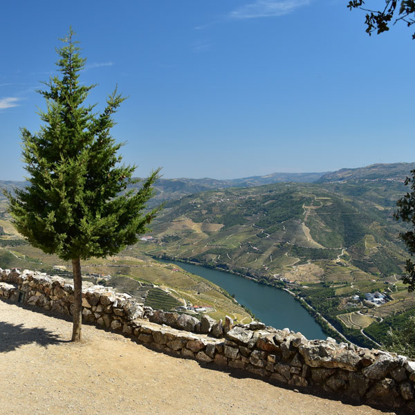 Miradouro de Sao Leonardo de Galafura 